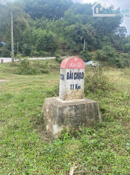 Sở hữu siêu phẩm tại Lương Sơn với giá cực rẻ, cách Hà Nội chỉ 35km - 2