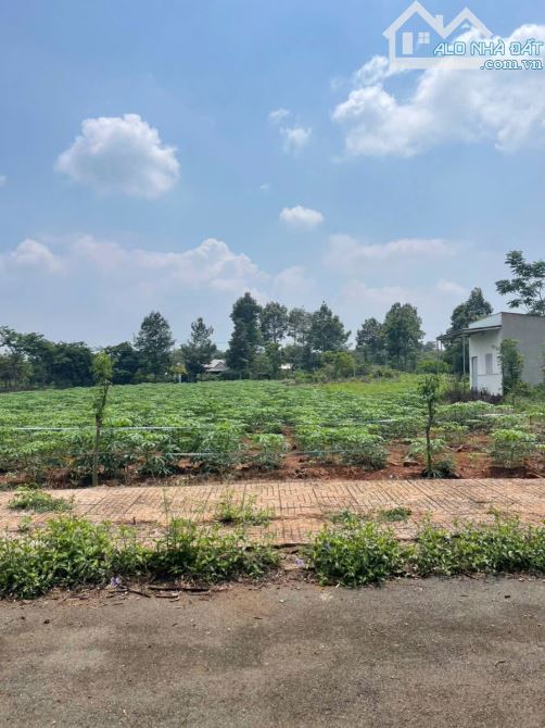 Chỉ 750 triệu – Sở hữu ngay lô đất RẺ NHẤT thị trường, có 1 không 2! - 2