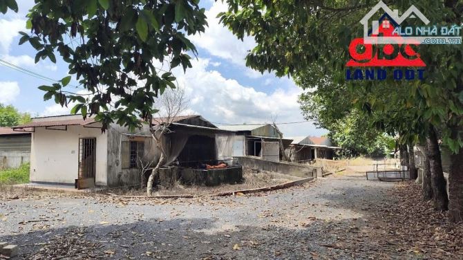 Cho thuê trang trại 3ha thích hợp chuyển đổi làm kho chứa hàng, Bình Minh, Trảng Bom - 3