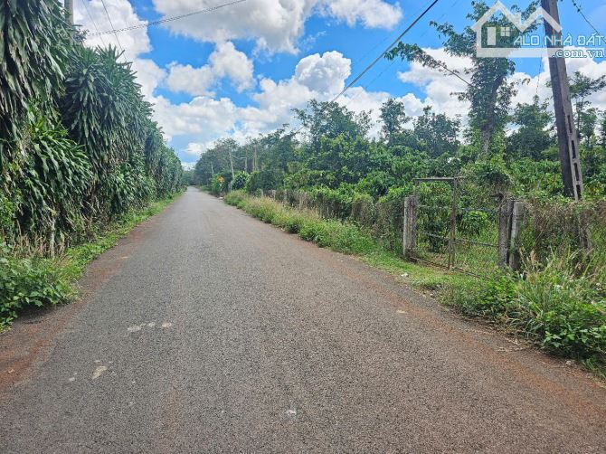 Bán siêu phẩm mảnh vườn đẹp mê, vị trí đẹp, hình đất đẹp, giá ngộp - 3