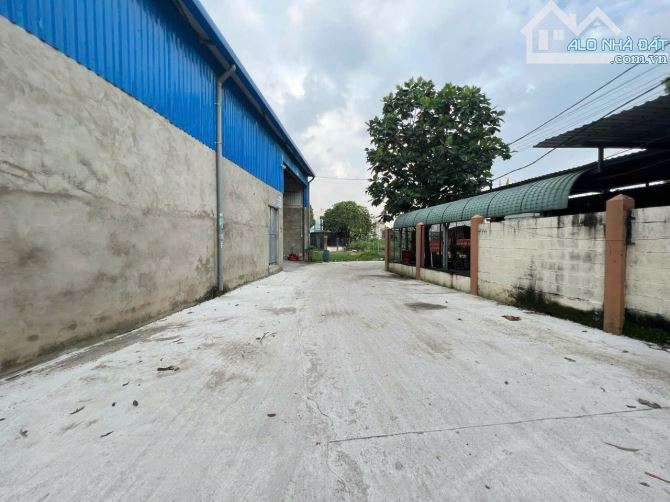 Đất gần KDC Tứ Hải, phường Tân Đông Hiệp, TP Dĩ An - 3
