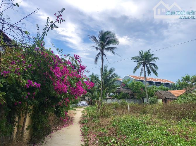 Bán Đất Bãi Biển An Bàng Hội An - Gần Chợ Tiện Ích Đầy Đủ - Bề Ngang 10m Cực Đẹp (MS479) - 3