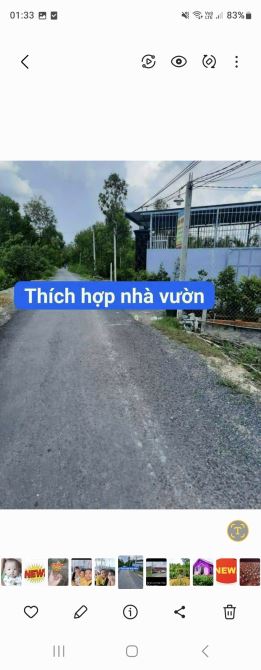 ĐẤT VƯỜN ĐƯỜNG OTTO RẺ NHẤT KHU VỰC. - 3
