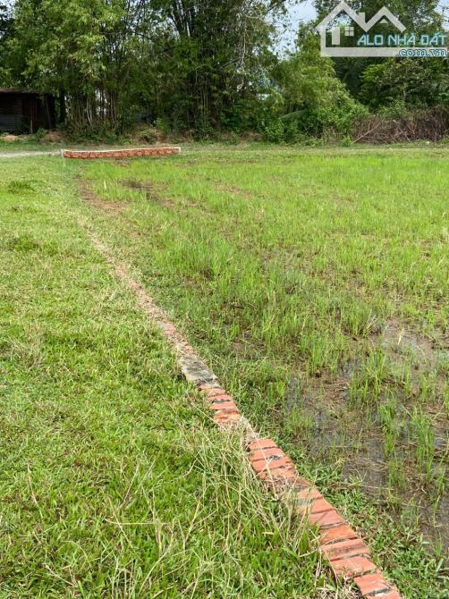 CHÍNH CHỦ BÁN LÔ ĐẤT 1000M2 GIÁ SIÊU TỐT TẠI BÀU SEN, ĐỨC HÒA, LONG AN - 3