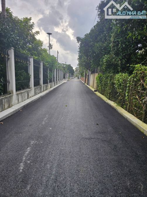 2 Lô Đất Liền Kề (20x23m) Đường An Sơn 38, Thích Hợp xây Biệt Thự, Nhà Vườn - 3