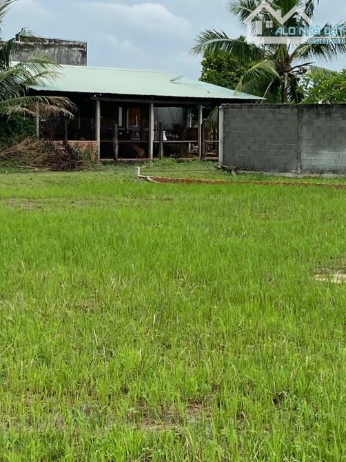 CHÍNH CHỦ BÁN LÔ ĐẤT 1000M2 GIÁ SIÊU TỐT TẠI BÀU SEN, ĐỨC HÒA, LONG AN - 4