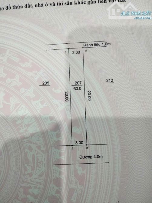 Đất phân lô 60m2 sát bệnh viện đa khoa hoài đức - 4
