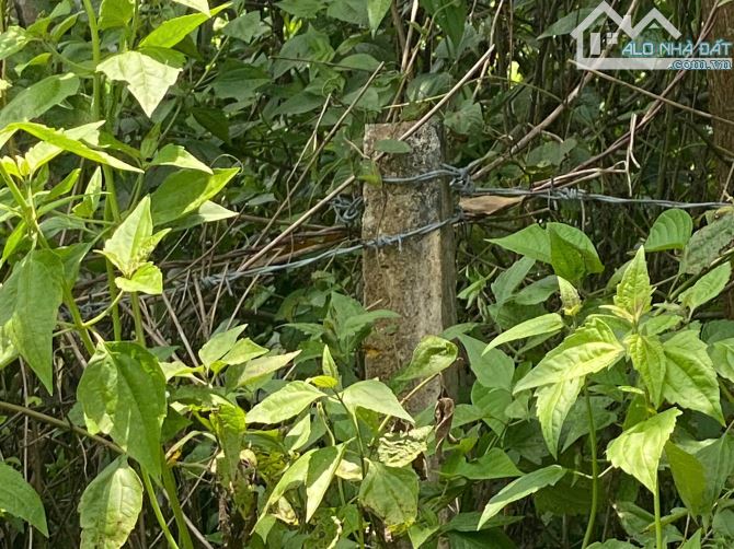 chỉ 550 triệu sở hữu ngay lô đất 1,2 xào cso 10m mặt tiền đường bê tong rộng 6m - 4