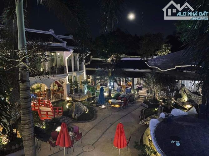 TỔ HỢP "NHÀ HÀNG-CAFE-TIỆC CƯỚI" 476 Dương Quảng Hàm, Gò Vấp P. An Nhơn Tp HCM - 4