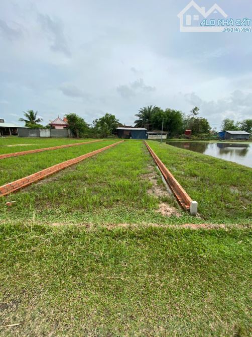 CHÍNH CHỦ BÁN LÔ ĐẤT 1000M2 GIÁ SIÊU TỐT TẠI BÀU SEN, ĐỨC HÒA, LONG AN - 5
