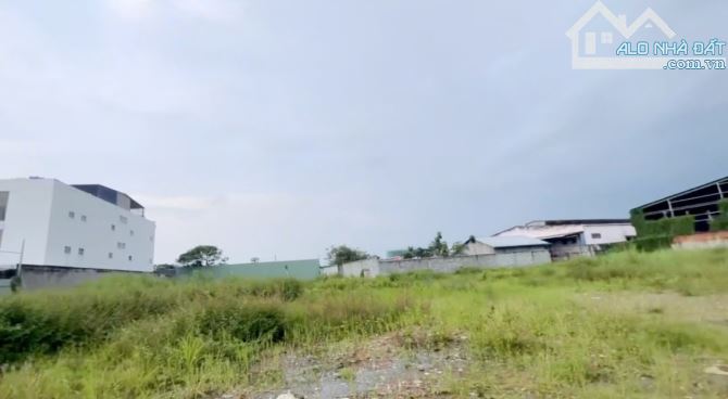 💥🔥 GIẢM SỐC 21 TỶ – ĐẤT VÀNG 5000M² FULL THỔ CƯ – CHỈ 16TR/M² 🔥 THÔNG LÊ THỊ KIM 💥NGUY - 8