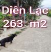 Bán đất thổ cư đường ô tô 4m Diên Lạc, Diên Khánh.  - Khu dân cư đông đúc. Cách Tỉnh Lộ 2