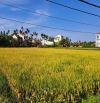 🆘 SIÊU RẺ 💥 LÔ ĐẤT VIEW LÚA TUYỆT ĐẸP CẨM CHÂU FULL ĐẤT Ở