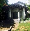 Villa vườn 1300m2 (12x100m), nở hậu, ấp 3 Hưng Long, Bình Chánh