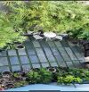 BÁN NHÀ KIỆT Ô TÔ CHẾ LAN VIÊN - NGŨ HÀNH SƠN -  NHÀ 4 TẦNG ,ĐANG CHO THUÊ 50 TRIỆU/ THÁNG