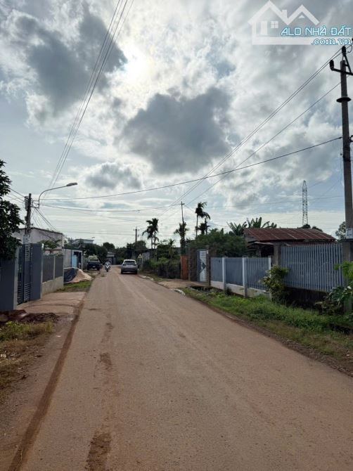 Đất P. Buôn Ma Thuột 6x39m Tc60m2 chỉ 2tỷ300