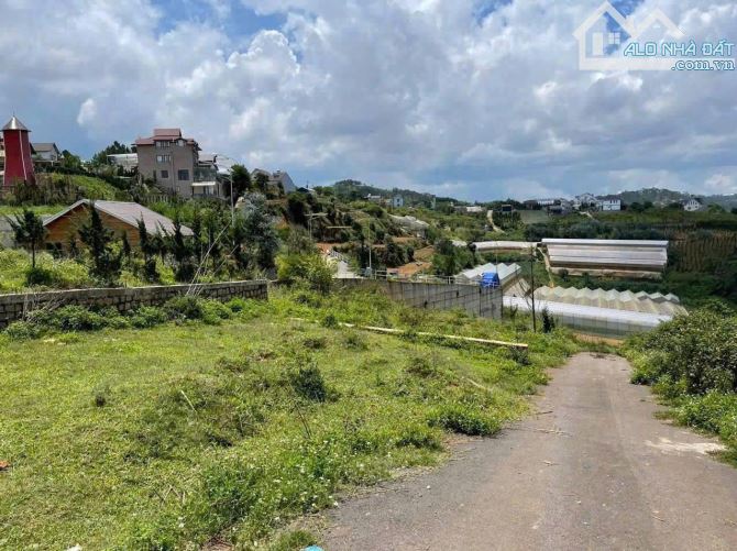 Bán đất biệt thự Măng Lin, Đà Lạt – View rừng thông, mặt tiền rộng