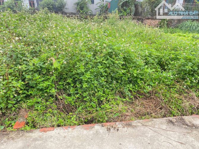 Bán đất Đồng Nhân, Hải Bối, Đông Anh – 198m², mặt tiền 9m, ô tô tránh – gần Smart City - 5