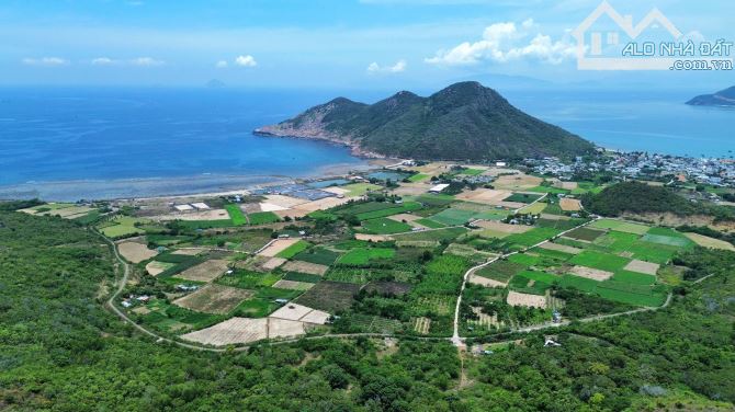Bán Gấp Lô Đất Triền Đồi View Toàn Cảnh Biển Ninh Vân  - Mặt Tiền Đường Nhựa Ô tô ( 113m)