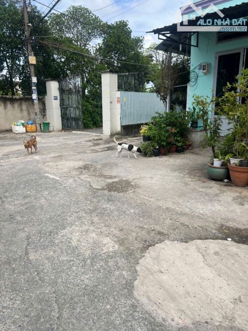 Nhà sổ hồng riêng 5mx10m 1 trệt 1 lửng đường thị trấn tân hiệp hóc môn