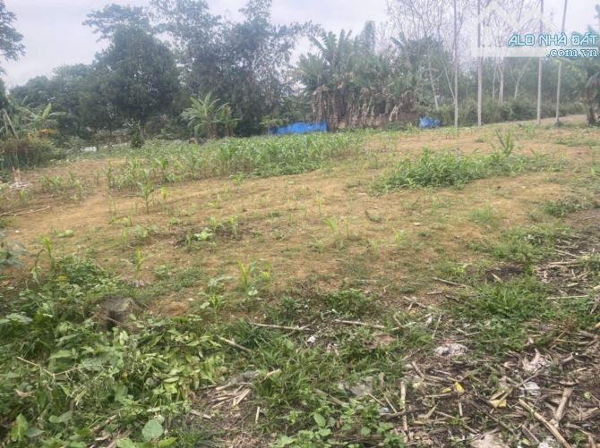 Thanh lý gấp mảnh đất chính chủ hơn 1 nghìn mét - Phú Thọ