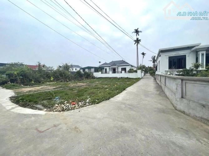 🌟 BÁN ĐẤT CỐC LIỄN – MINH TÂN (KIẾN THỤY) 🌟