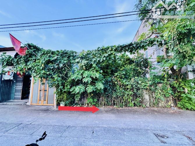 Thọ Am, Liên Ninh, đường thông oto tránh, DT: 67m, MT: 4.39, giá: 9.9 tỷ, gần đấu gia
