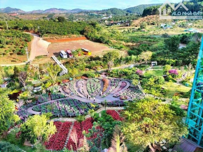 BÁN ĐẤT HIẾM 8000m2 – VỊ TRÍ KIM CƯƠNG SÁT BÊN NGAY KDL CHUỒN CHUỒN BISTRO MÊ LINH, ĐÀ LẠT