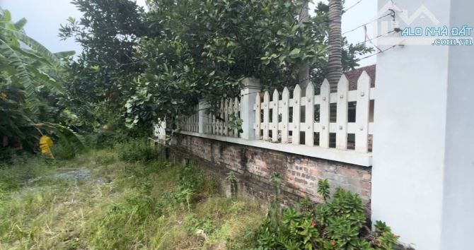 Bán đất Xóm Nhì, Vân Nội, Đông Anh ( Phường Phúc Thịnh) Hà nội