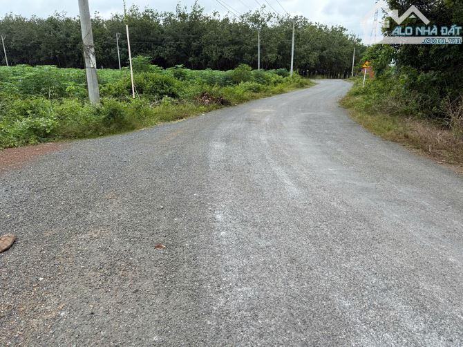 Bán gấp 1645,5m2 đất, 53m mặt tiền nhựa lớn