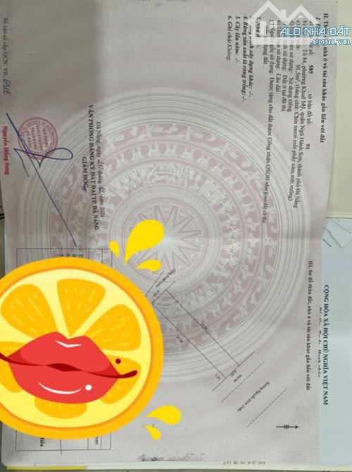 📌📌📌LÀM VIỆC TRỰC TIẾP GIÁ TỐT !!!lô đất Mặt Tiền: Nguyễn Đình Chiểu
