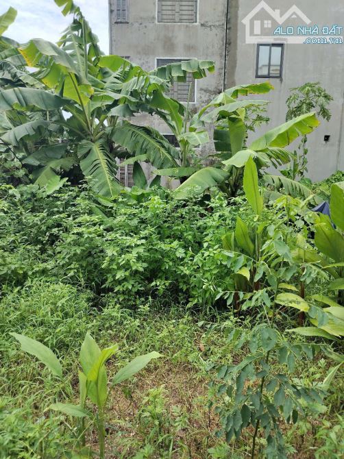 BÁN ĐẤT PHÂN LÔ – ĐỨC THƯỢNG - HOÀI ĐỨC - 48m2