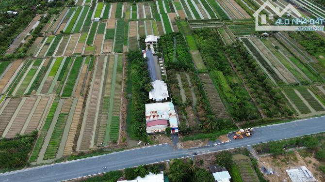 Khu nhà vườn mặt tiền DT 909B thích hợp làm homestay, quán ăn,.. gần khu T&T Tam Đa