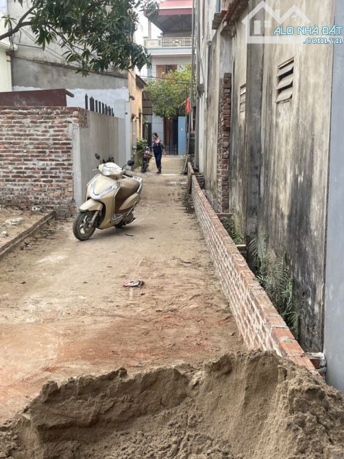 📣📣Đất Xâm Dương 3 - Ninh Sở - Thường Tín - HN  👉Ô tô vào tận đất. Cá
