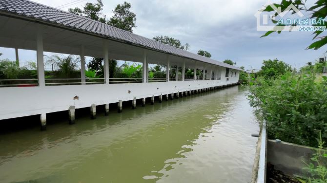 Khu nhà vườn mặt tiền DT 909B thích hợp làm homestay, quán ăn,.. gần khu T&T Tam Đa - 10
