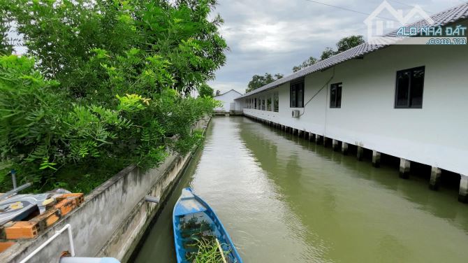 Khu nhà vườn mặt tiền DT 909B thích hợp làm homestay, quán ăn,.. gần khu T&T Tam Đa - 11