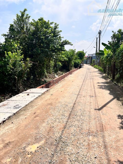Mở bán 44 nền đất , sổ riêng , thổ cư 100%,cuối Huỳnh Văn Nghệ. - 2