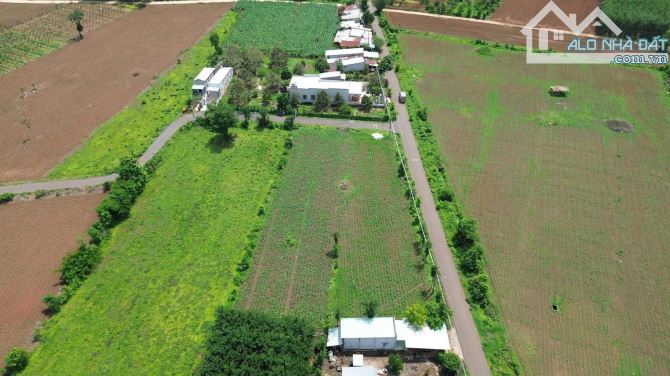 Đất Xã Bình Trung - Khu Dân Cư - Gần Uỷ Ban - Trường Học - Chợ - 1