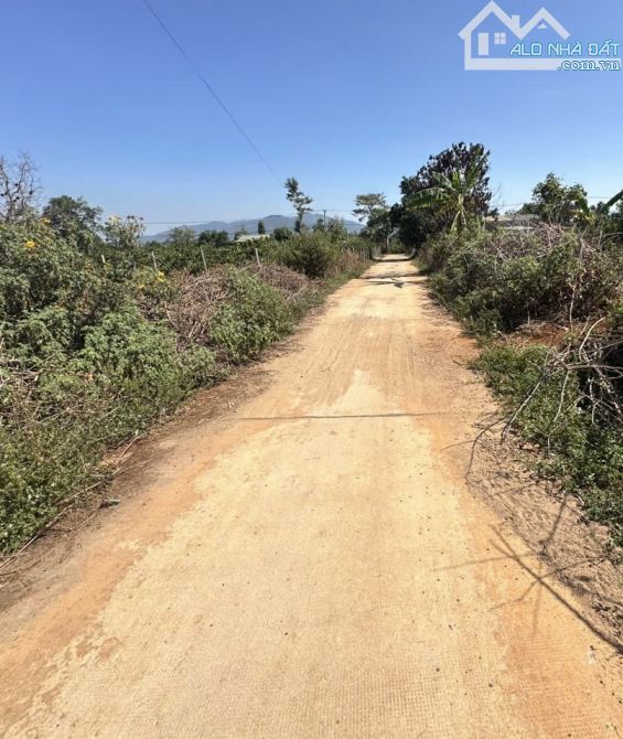 💥 Đất hẻm Đào Duy Từ - đi thẳng ra hồ 200m - 1
