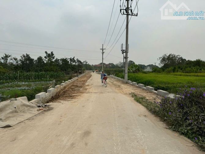 BÁN GẤP 240M ĐẤT NAM CƯƠNG, HIỀN NINH, SÓC SƠN. VỊ TRÍ BÌA LÀNG. ĐẤT FULL THỔ CƯ. - 1