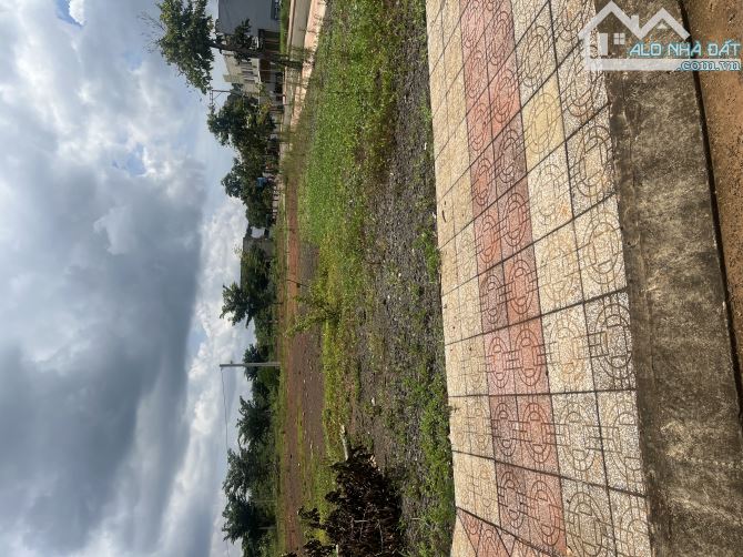 Chạy tiền cần bán gấp lô đất 200m2 ngay trung tâm Bù Đăng giá 800TR, thổ cư, SHR - 1