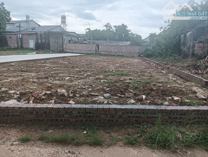 Bán đất xã Tân Minh - huyện Sóc Sơn: Diện tích 80 m2 - giá 1,5 tỷ. - 1