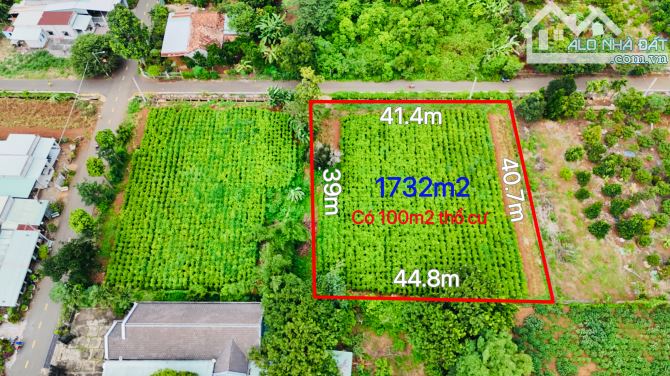 Bán 1732m2 đất ngang 41m mặt tiền nhựa Long Tân - Đất Đỏ - 1