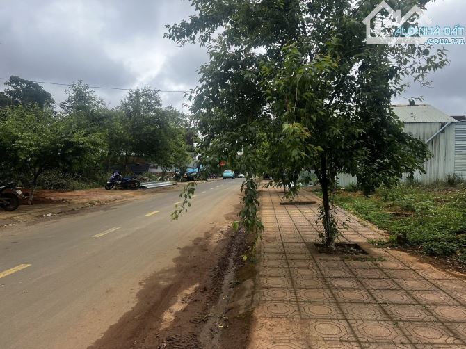 bán 181m2 đất măng đen -kon tum giá 4,6 tỷ kích thước 7 x 26m - 1