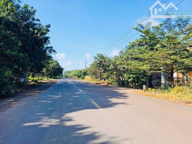 ĐẤT MẶT TIỀN DH 507 TIẾN HƯNG TP ĐỒNG XOÀI GIÁ 580TR - 1