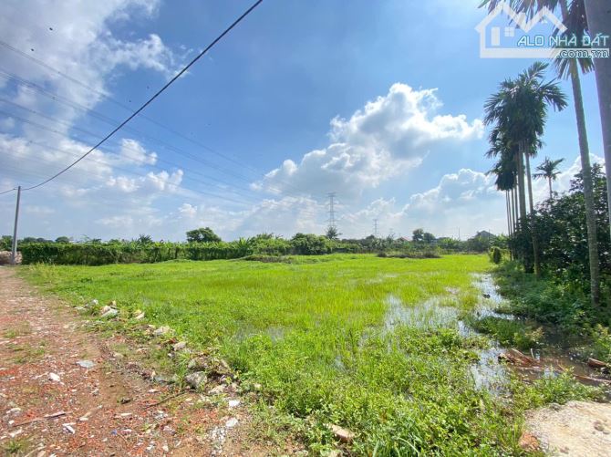 Đất nền LÔ GÓC 2MT Làng bưởi tân triều giá hơn 1ty - 1
