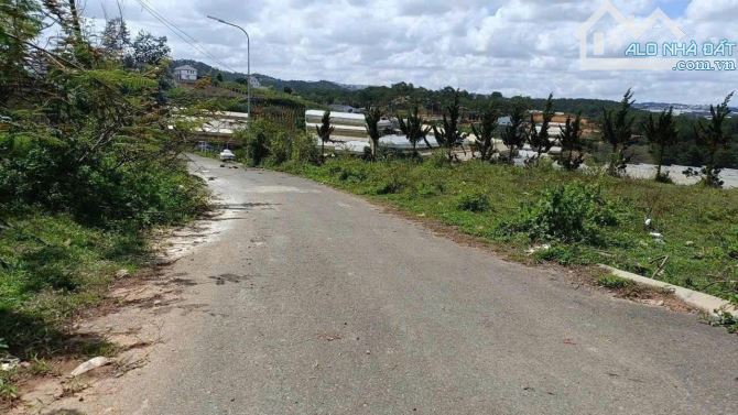 Bán đất biệt thự Măng Lin, Đà Lạt – View rừng thông, mặt tiền rộng - 1