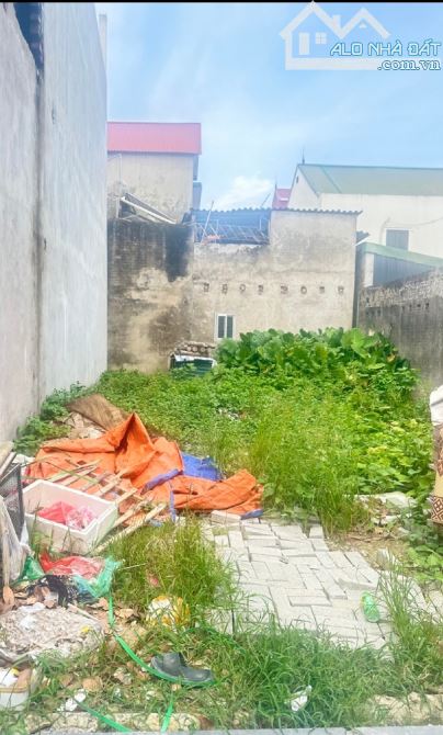 BÁN ĐẤT - CỔ LOA - ĐÔNG ANH - DT 48M - GIÁ 3,96 TỶ - 1