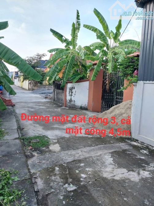 🔥T🔥Chào bán 02 lô đất F0 sẵn bìa tại Hoàng Động- Thuỷ Nguyên - Hp - 1
