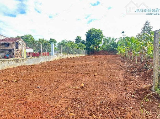 ĐẤT HẺM CẤP 1 PHẠM NGŨ LÃO NỐI DÀI - THÔN 5 EABAR - 1